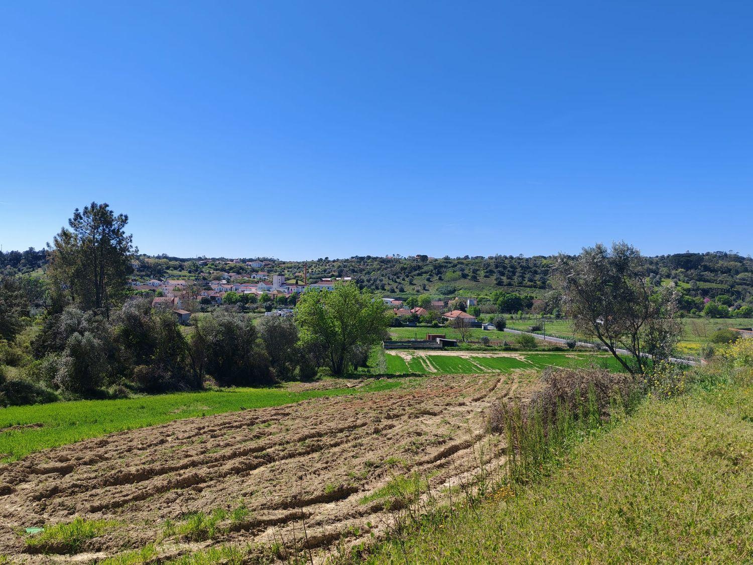 Terreno rural